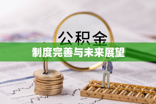 南区制度完善与未来展望