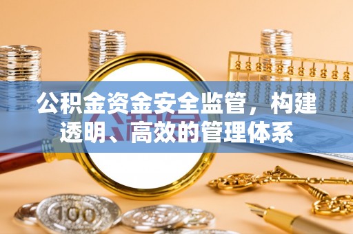 南区公积金资金安全监管，构建透明、高效的管理体系