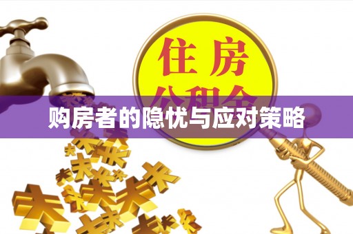 南区购房者的隐忧与应对策略