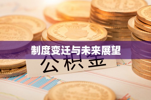 南区制度变迁与未来展望