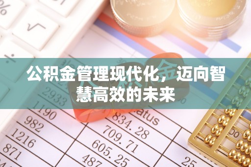 南区公积金管理现代化，迈向智慧高效的未来