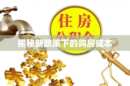 南区揭秘新政策下的购房成本