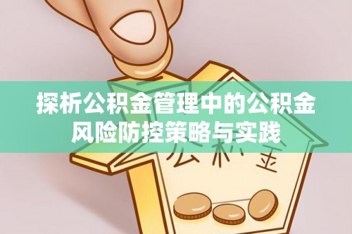 南区探析公积金管理中的公积金风险防控策略与实践