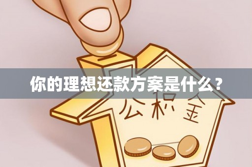 南区你的理想还款方案是什么？