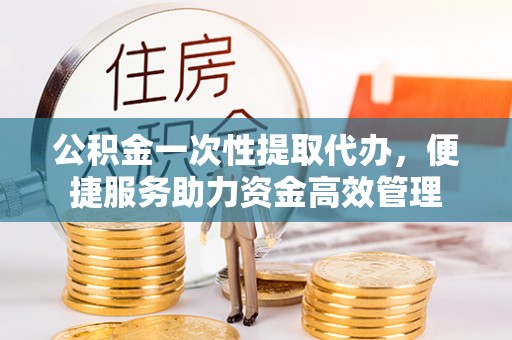 南区公积金一次性提取代办，便捷服务助力资金高效管理