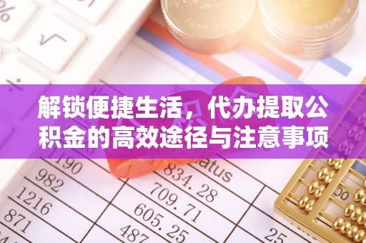 南区解锁便捷生活，代办提取公积金的高效途径与注意事项