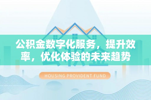 南区公积金数字化服务，提升效率，优化体验的未来趋势