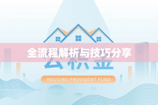 南区全流程解析与技巧分享